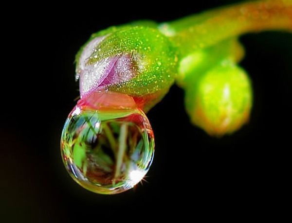 Сергей Малухин