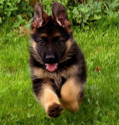 Дмитрий Вячеславович