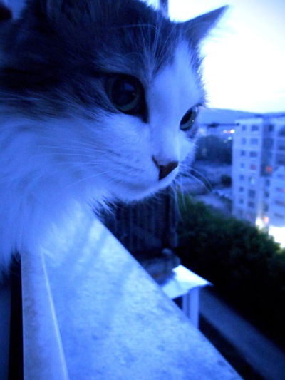 Лариса Мищук