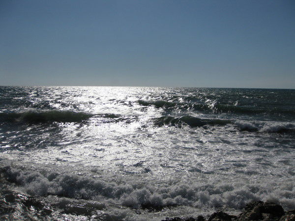 Наталья Кубицкая