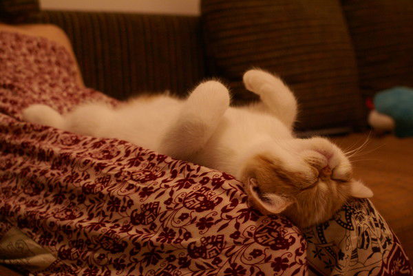 Светлана Лопаткина