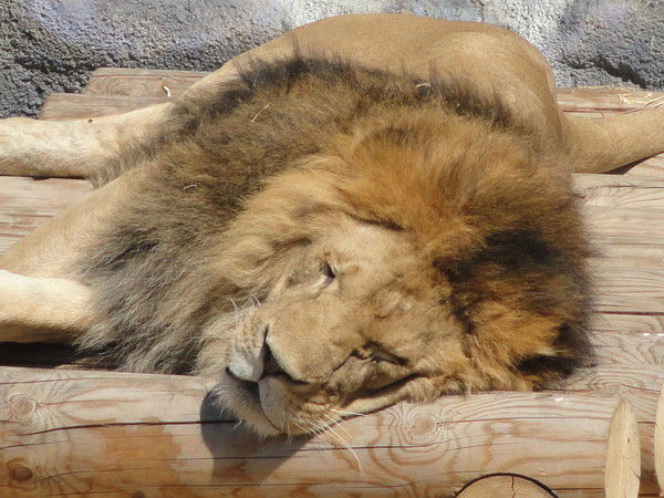 Клочков Евгений