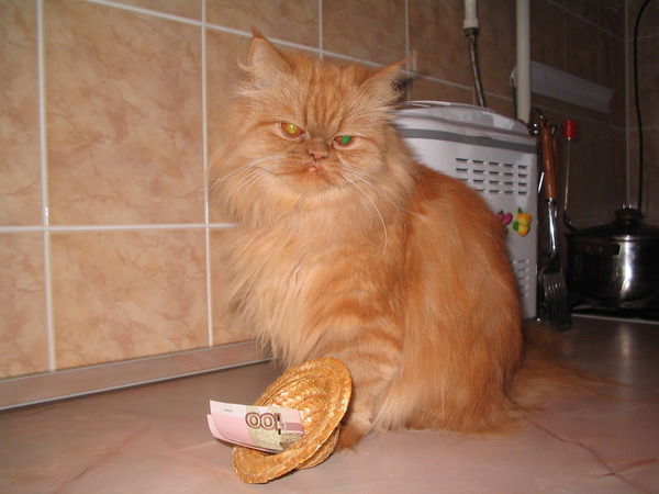 Лилиана Ньювейс