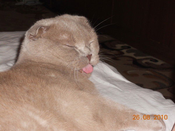 Надежда Андреева