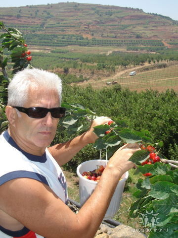 Владимир Гутин