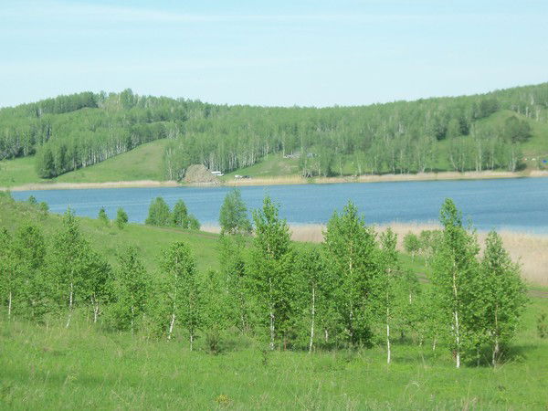 Светлана Головина