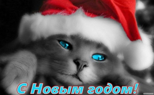 Тёма Неизвестный