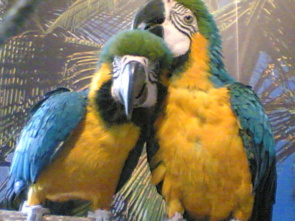 Людмила Устинова