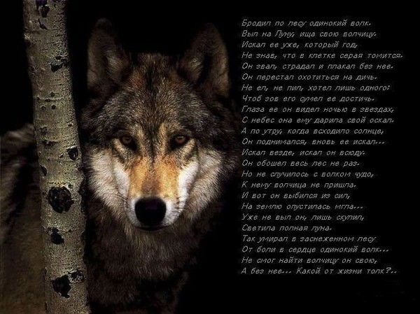 Александр Тимофеев