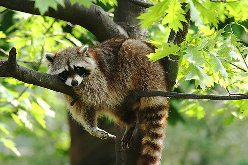 Лилия Морозова