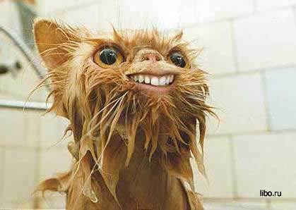 Женя Бутаков