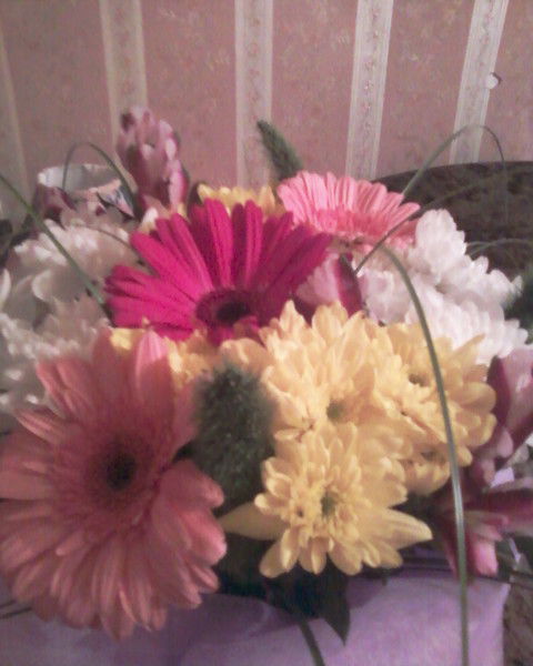 Ольга Давыдова