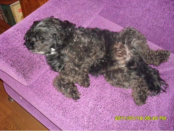 Ульяна Шмидт