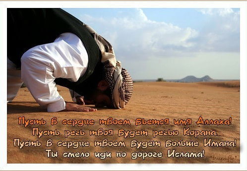 Батыр Торжанов