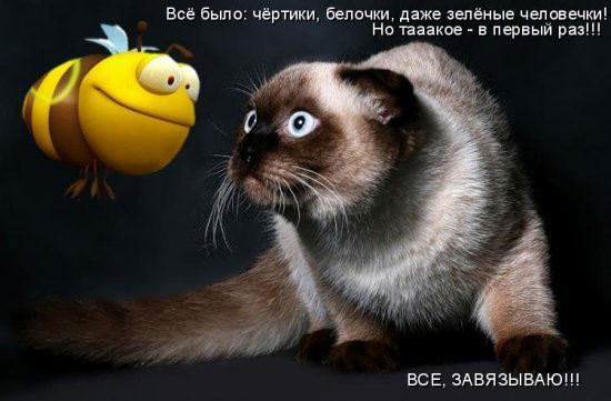 Виноградова Светлана