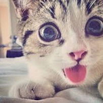 Лиза Морозова