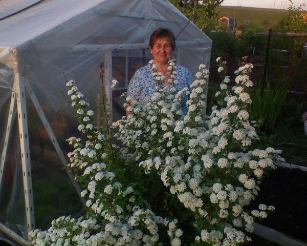 ?????????? ???°???°???????°