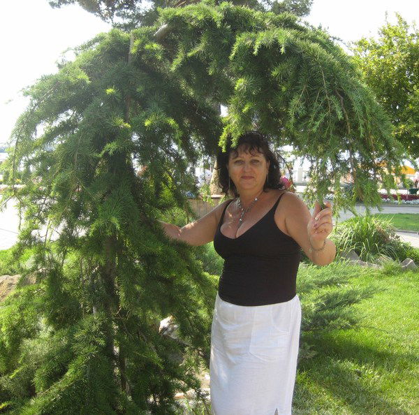 Людмила Летникова