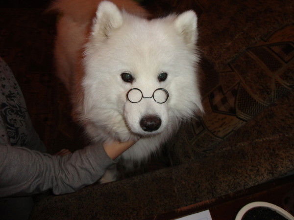 Светлана Симоненко(Горбань)