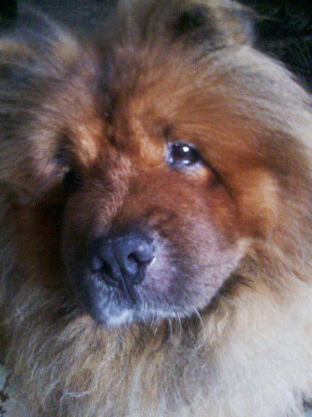 Марина Зенина