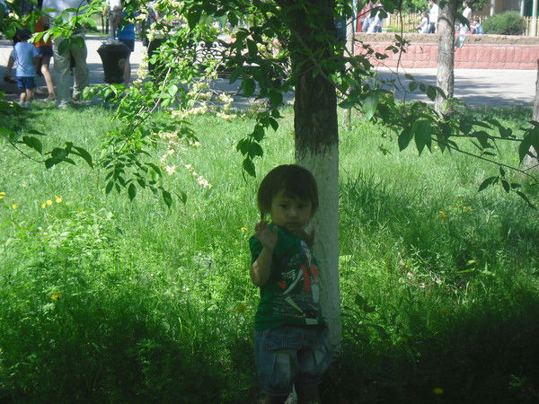 Елена Мамбетова