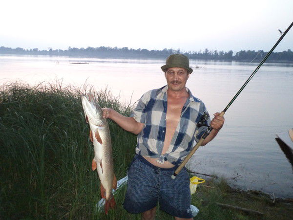 Александр Волков