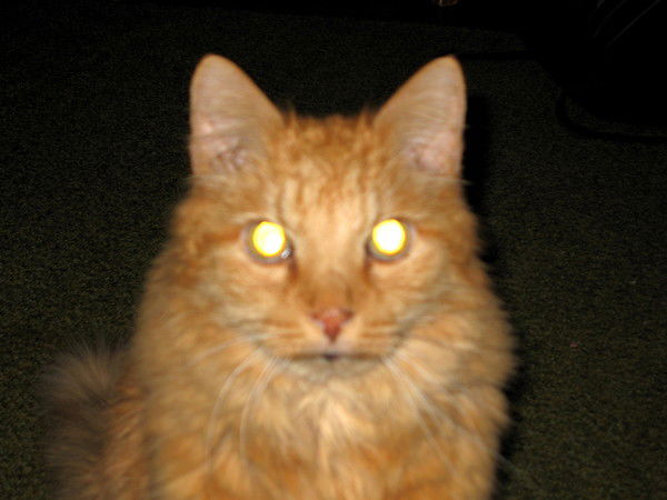 Алексей Ширяев