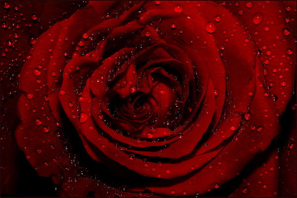 Нана Хабирова