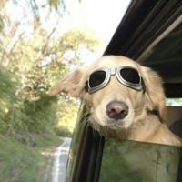 Максим Маршалко