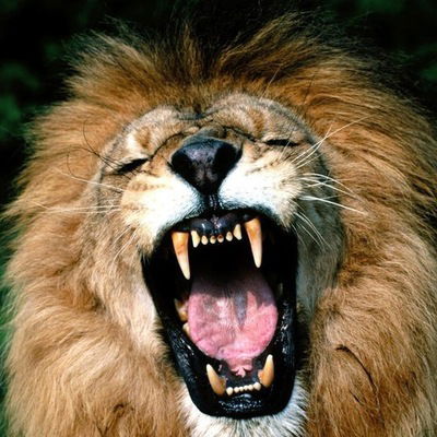 Мухаммад Грознов