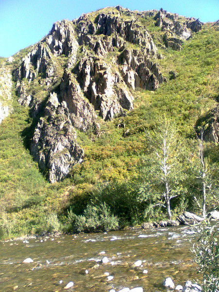 Найля Минаева