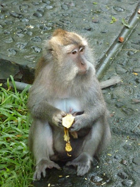 Сержоверо Долин