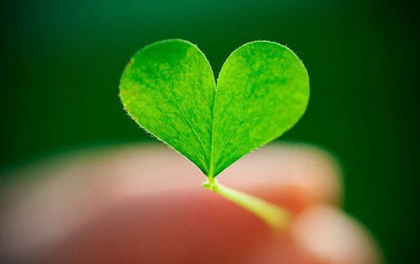 Тариель Сабырбеков