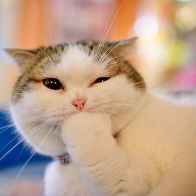 Вадим Русских