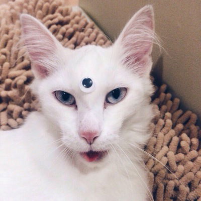 Аня Артюхина