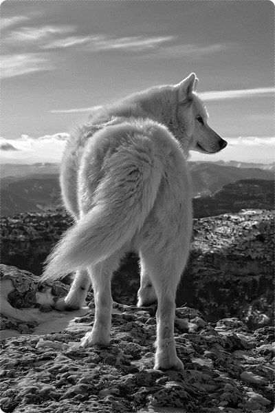 Success Is Not In What You Have But Who