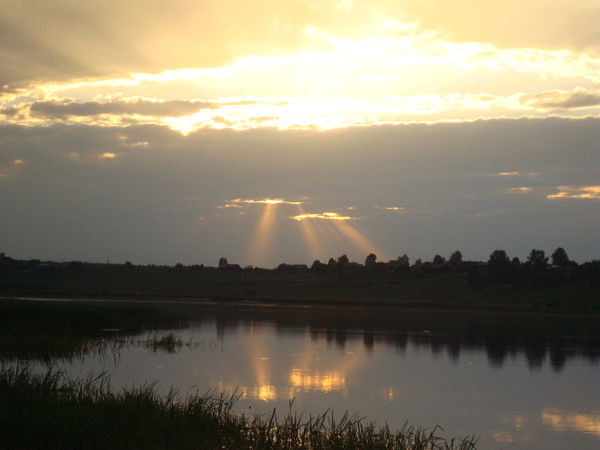 Лариса Услугина