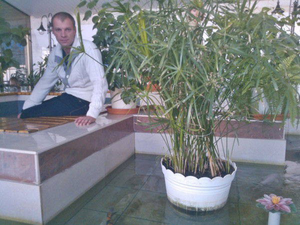 Саша Санечкин