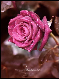 Валентина Великая