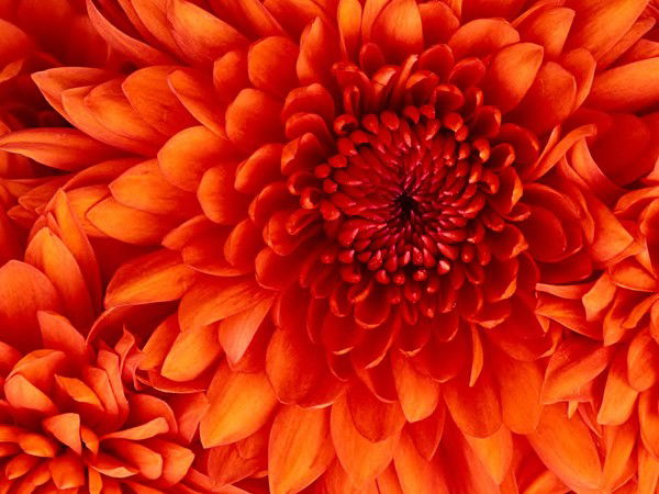 Светлана Рейдер