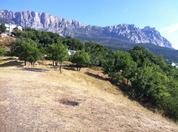 Рустам Дададжанов