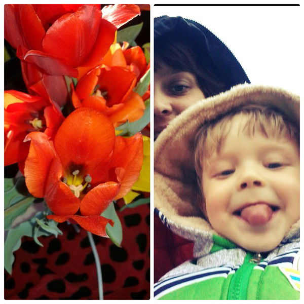 Юлия Харкевич