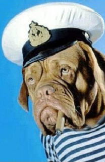 Геннадий Сокирко