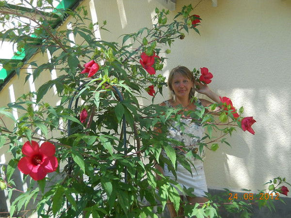 Ольга Драневская