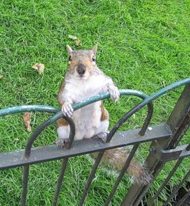 Андрей Яковлев