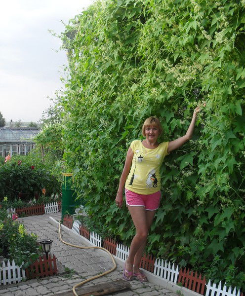 Елена Иванова