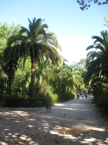 Анатолий Никитин