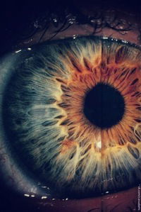 Даниил Кречев