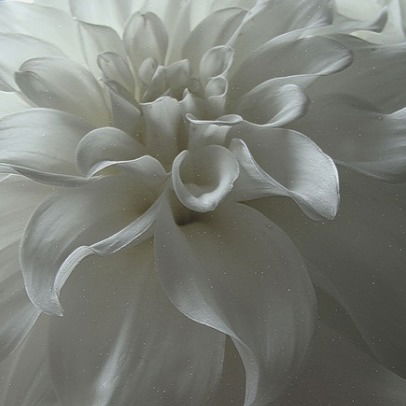 Елена Кулакова