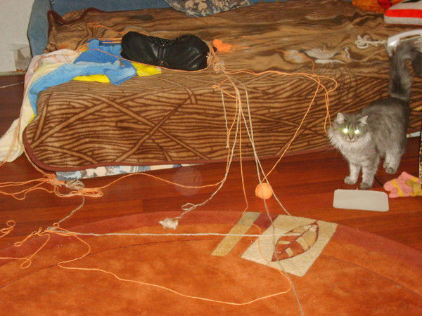 Алексей Свинаренко